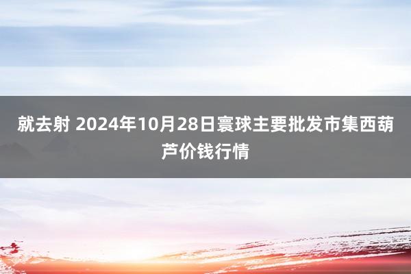 就去射 2024年10月28日寰球主要批发市集西葫芦价钱行情