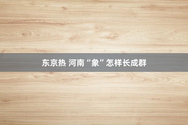 东京热 河南“象”怎样长成群