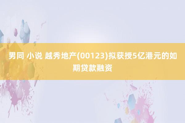 男同 小说 越秀地产(00123)拟获授5亿港元的如期贷款融资