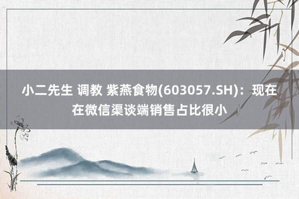 小二先生 调教 紫燕食物(603057.SH)：现在在微信渠谈端销售占比很小